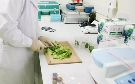 食品重金屬檢測儀，關注食品安全，防范重金屬危害